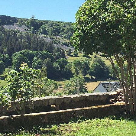 LA CURE grande maison de charme de 2 a 14 personnes Saint-Urcize Eksteriør bilde